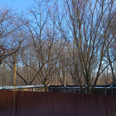 Vand casa la 18 km de Roman-6