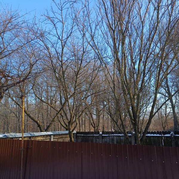 Vand casa la 18 km de Roman-6