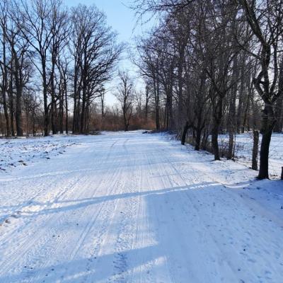 Vand casa la 18 km de Roman-5