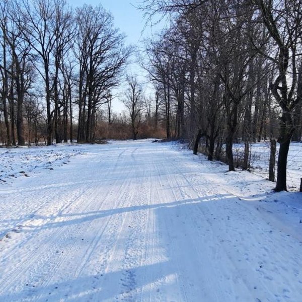 Vand casa la 18 km de Roman-5