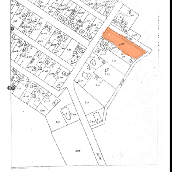 Teren Sandulita, com Sarulesti, jud Calarasi-1