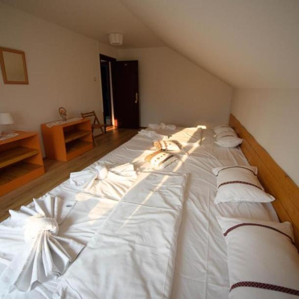 Pensiune de vânzare!-14