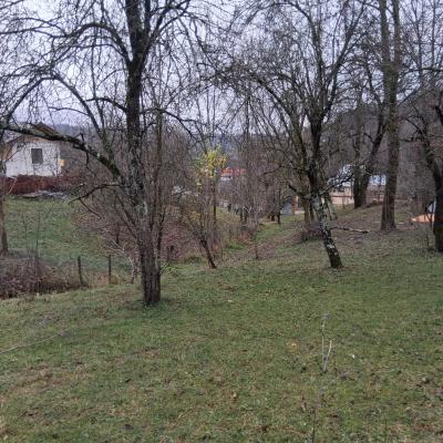Vand casa batraneasca + teren 1000m2, comuna Rau Alb de jos, jud. Dambovita-3