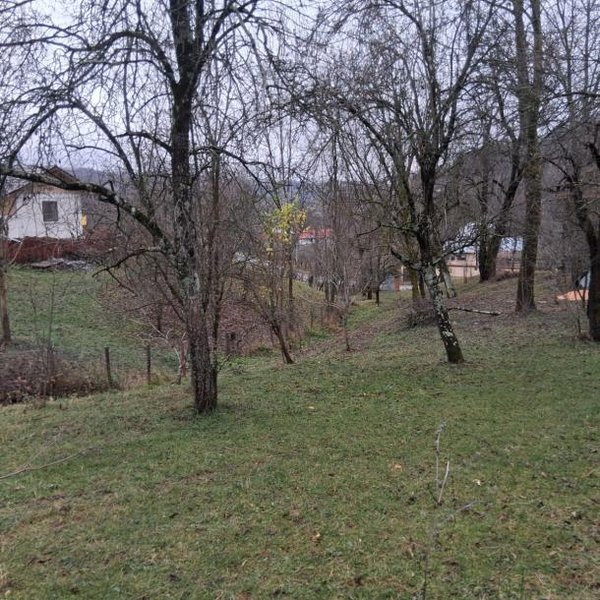 Vand casa batraneasca + teren 1000m2, comuna Rau Alb de jos, jud. Dambovita-3