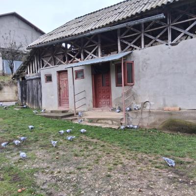Vand casa batraneasca + teren 1000m2, comuna Rau Alb de jos, jud. Dambovita-8