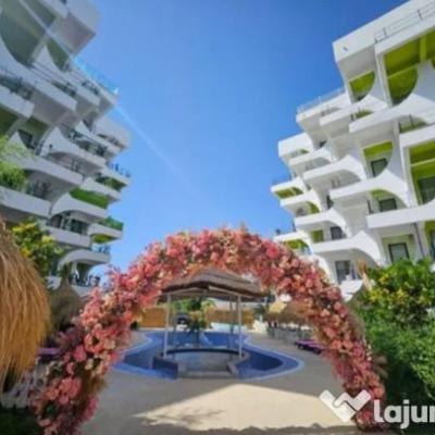 Vand Studio Mamaia